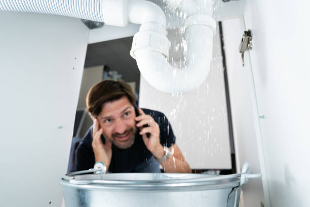 Best Leak Detection Services  in Grant Park, IL