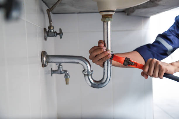 Best Affordable Plumber Near Me  in Grant Park, IL